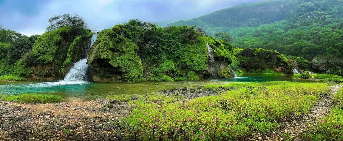 salalah package